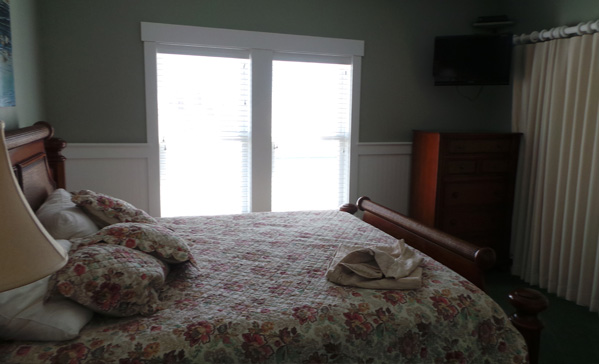 BlogImage_WildHorse_12