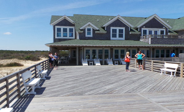BlogImage_WildHorse_16